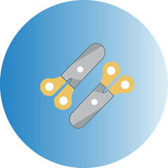 vector illustration of a metal key