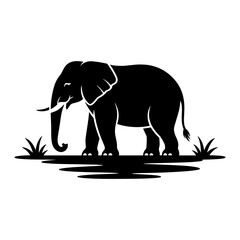 Elephant Standing on Savanna