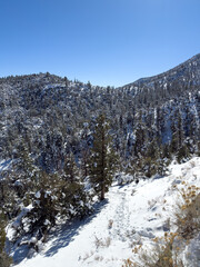 Snow in the mountain with clear blue sky