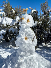 Snowman in the mountain