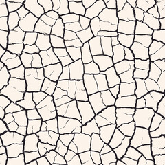 Abstract Organic Cracked Lines Seamless Pattern with Irregular Mosaic Shapes