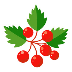 Obraz premium hawthorn red with leaves