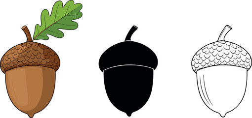 Set of acorn and oak leaf vectors in flat color silhouette and line art styles for autumn harvest forest nature and Thanksgiving holiday graphic design © MdNazmul