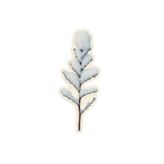 A single stem with frosty leaves isolated on a white background viewed from directly above