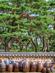 한국 장을 담는 항아리가 모여있는 장독대 풍경