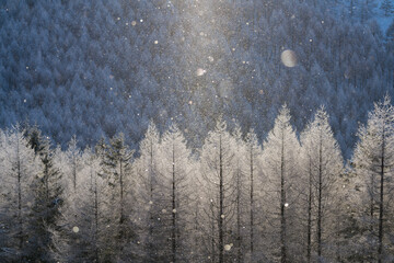 霧ケ峰高原のダイヤモンドダスト