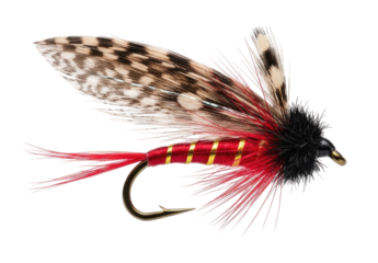 Red and gold fishing fly transparent background cutout png