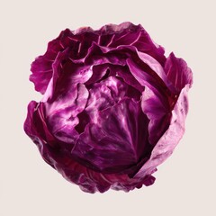 Obraz premium Vibrant Red Cabbage Detailed Macro Studio Shot Against a Light Neutral Background