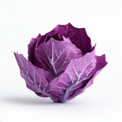 Obraz premium Vibrant Red Cabbage Head with Intricate Leaf Veins Against a Clean White Background