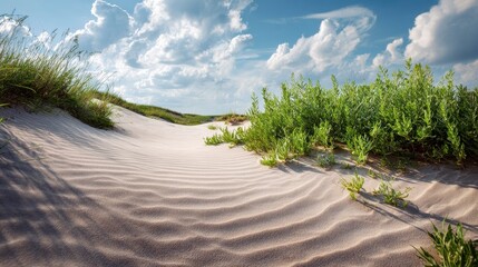 Sandy path, framed by lush green vegetation, leads towards the horizon under a bright blue sky filled with puffy white clouds