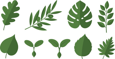 Diverse collection of green leaves and plant sprouts.