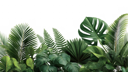 Vibrant green plants highlight nature's beauty, created AI, PNG