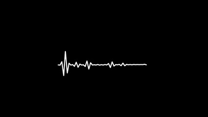Heartbeat ekg line. ekg heartbeat patterns on a black background.