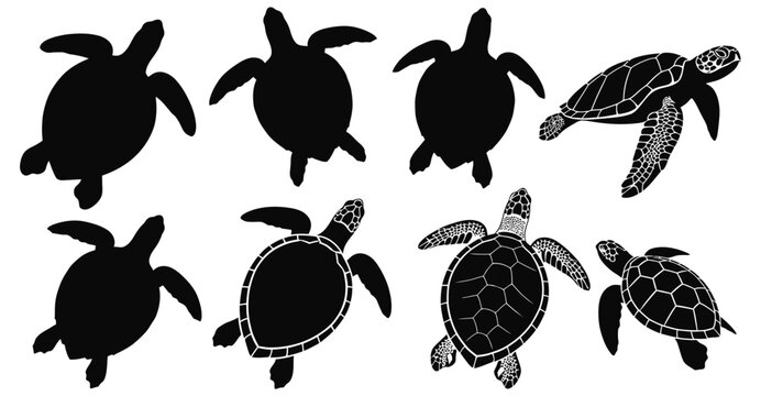 Eight black sea turtles swimming in different poses on white background ocean animal