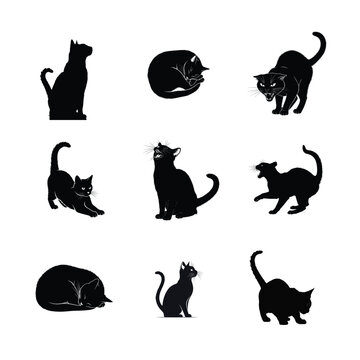 Nine black cat silhouettes in various poses on white background animal feline