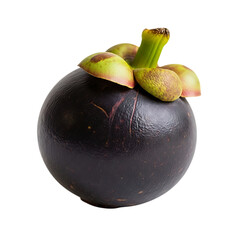 Purple mangosteen fruit isolated on transparent background