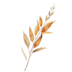 A branch with golden leaves isolated on a white background viewed from the side