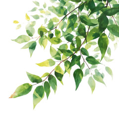 A serene branch with lush green leaves against a white background