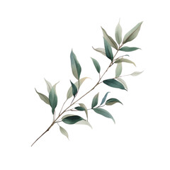 A serene branch with green leaves isolated on a white background