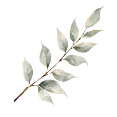 A branch with green leaves on a white background