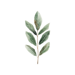 A serene watercolor illustration of a single stem with green leaves on a white background