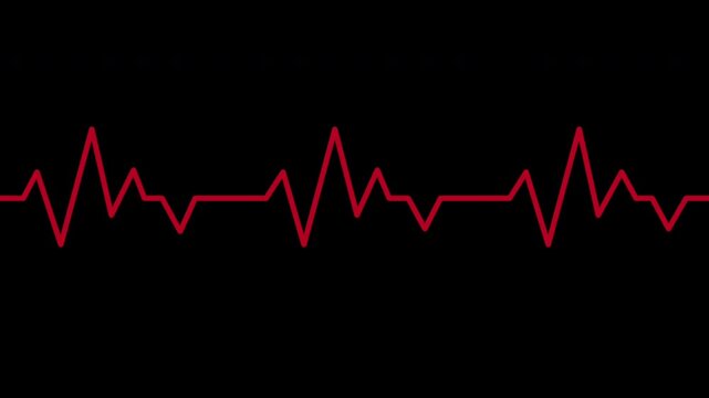 Red and white Heartbeat or pulse. red line of heart rate. Heart pulse graphic. Red and white heartbeat cardiogram line animation. Alpha channel