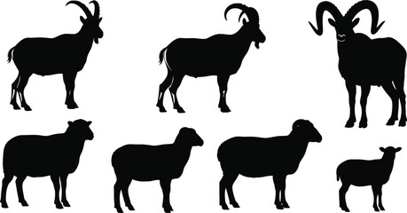 Sheep and goat silhouettes set, vector illustration of ram, ewe and lamb, farm and mountain animals collection isolated on white background.