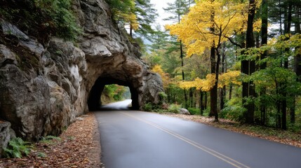 Scenic forest road leading through a natural rock tunnel, surrounded by autumn trees. 