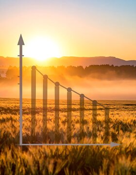 Graphic of a declining graph on a golden field at sunrise