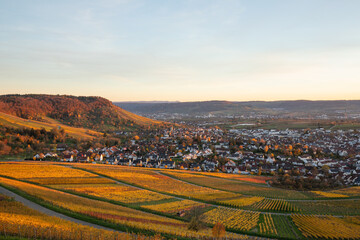 Die Weinberge im Remstal bei Korb im Rems-Murr-Kreis zeigen sich im Herbst in ihrer ganzen Farbenpracht. Beim Sonnenuntergang werden die Weinberge von warmem, tief stehenden Sonnenlicht angestrahlt.