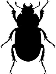 Black Beetle Silhouette Isolated.