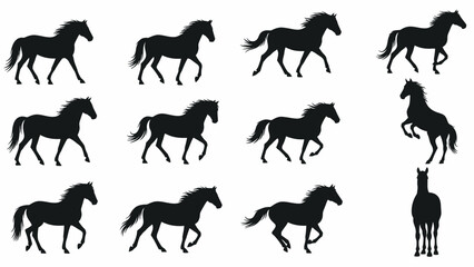 Set of twelve horse silhouettes depicting various gaits and poses, presented on a white background