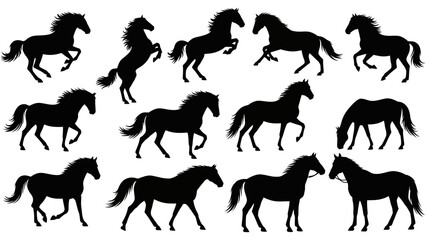 Collection of Horse Silhouettes in Various Poses, Displaying Grace and Movement
