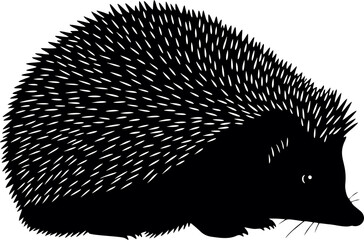Black Silhouette of a Hedgehog.