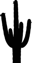 Silhouette of Saguaro Cactus Plant.