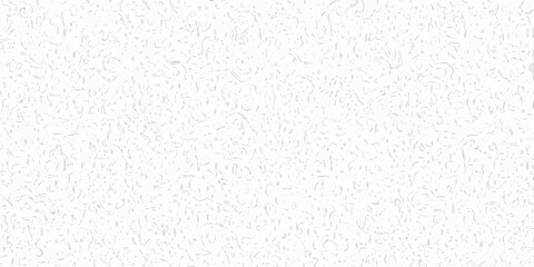 Delicate white floral pattern covering a full frame background