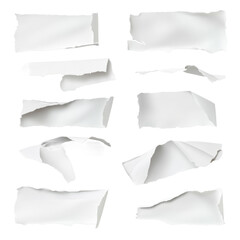 Crumpled and torn paper texture collection
