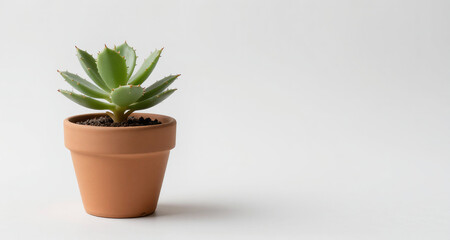 Obraz premium High-quality minimal plant pot isolated on light backdrop, soft lighting, copy space featuring a professional and clean aesthetic, perfect for creative projects, advertising, and modern c...