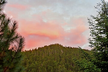 Dramatic Red and Orange Clouds Above Fir Forest Peak