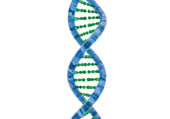 Blue and green DNA molecule isolated PNG, double helix structure on transparent background for science and medical concepts