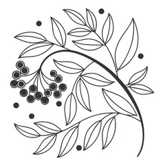 Stylized illustration of a branch with berries and leaves with scattered dots Keywords: branch, berries, leaves, botanical, nature, illustration