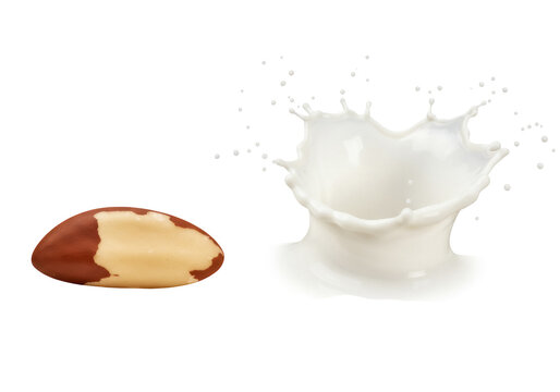 Brazil nut and milk splash PNG isolated on transparent background, plant-based dairy alternative for healthy vegan diet