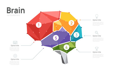 Creative geometric brain infographic template with 5 steps. Colorful low poly vector illustration for business, education, and psychology presentation.