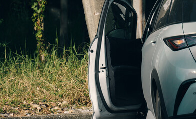 Open Car Door with Grass in Background under Natural Light Setting near Urban Area