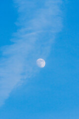 初冬の霞んだ空に白い月06