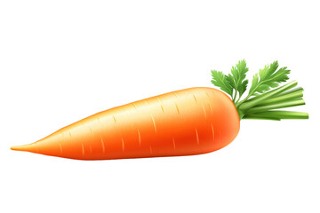 A detailed 3D model of an orange carrot, showcasing its texture and color.
