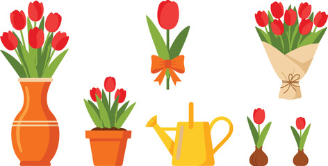 Tulip flower illustration set featuring bouquets, potted plants, bulbs and watering can in colorful flat spring garden design