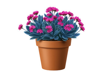Fototapeta premium Pink flowering succulent in pot PNG isolated on transparent background, houseplant for indoor gardening and decoration