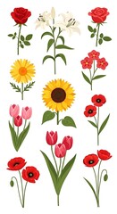 A vibrant collection of various floral blooms in a simple, flat design style against a white background. It includes roses, lilies, poppies, tulips, and a sunflower
