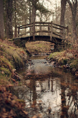 Serene Forest Stream with Wooden Bridge and Reflections